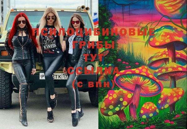 мдпв Чегем