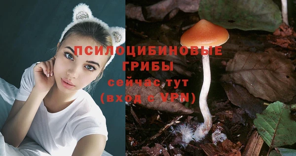 мдпв Чегем