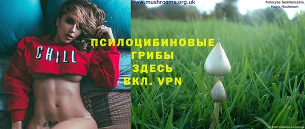 мдпв Чегем